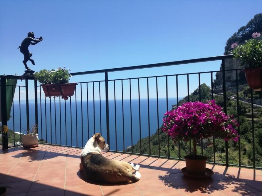 Bed and Breakfast Domus Gaia Amalfi Zewnętrze zdjęcie